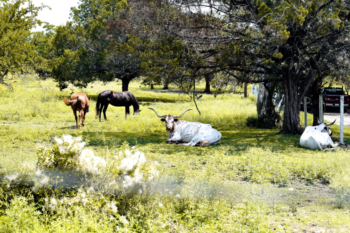 10 Things to Look Forward to When We Return to the Forty Acres