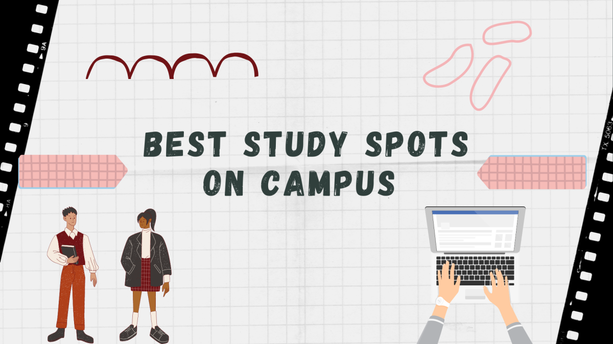 An Insider's Look Into The Best Study Spots on UT Campus