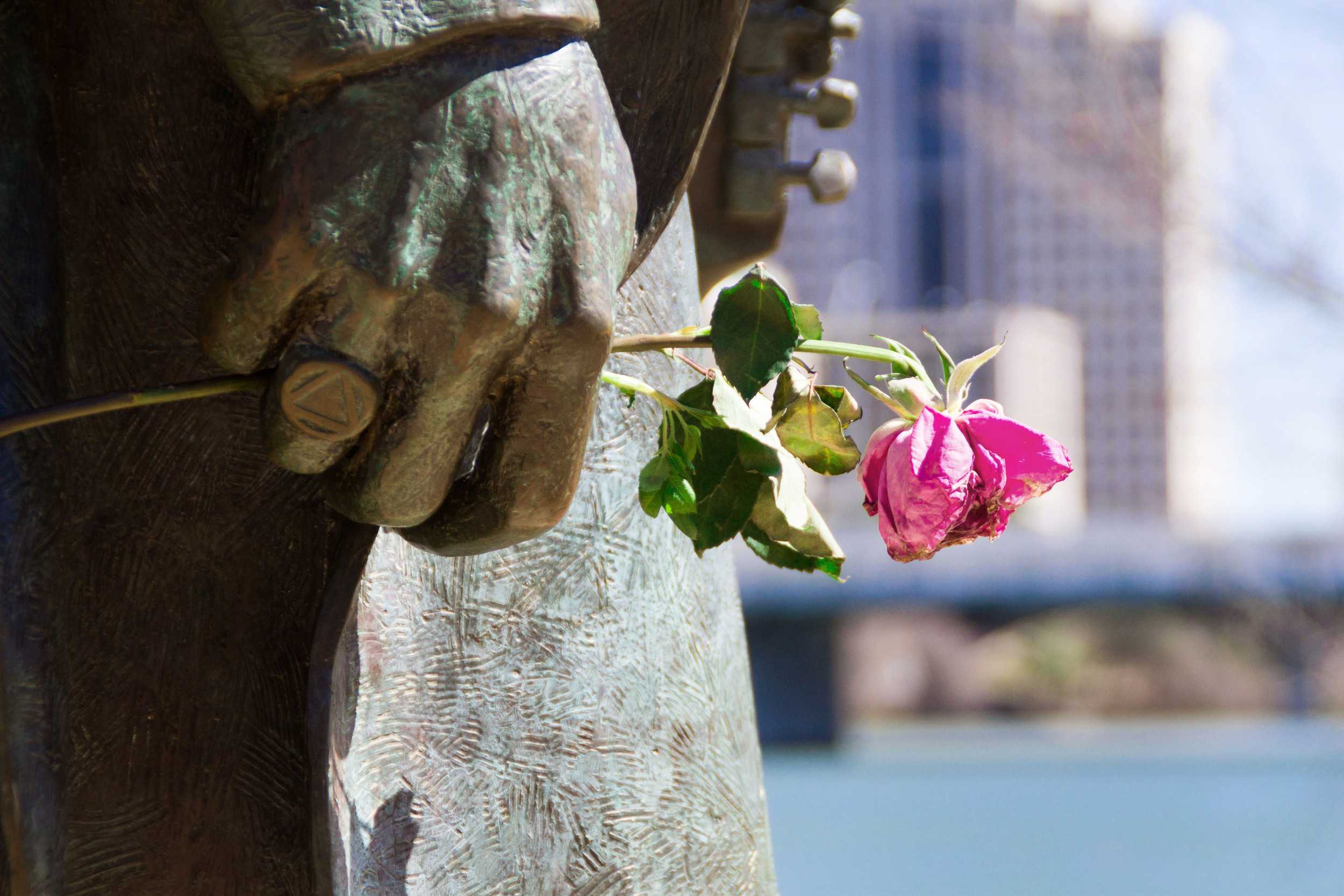  Statue of Texas musician Stevie Ray Vaughn holds a flower placed by a fan on Austin’s town lake running trail. 