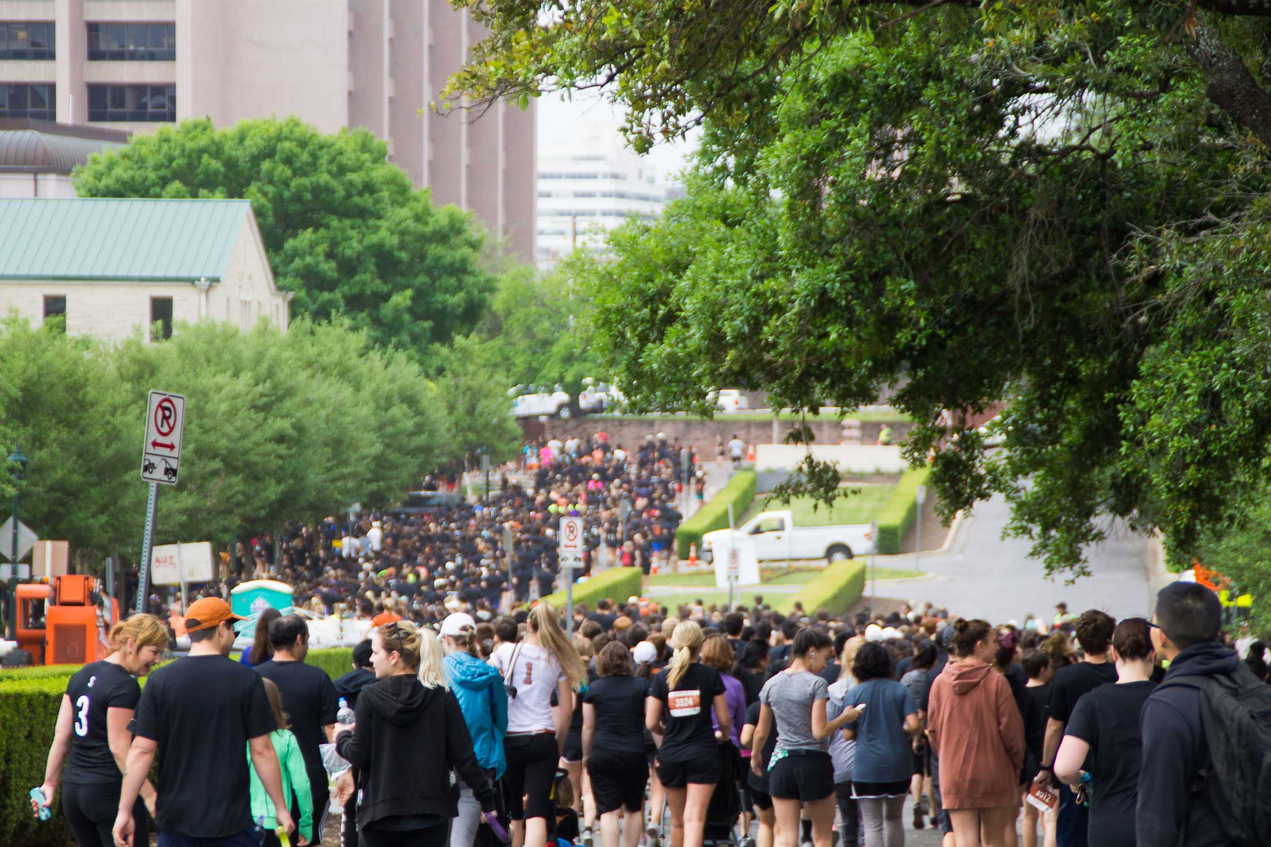  Masses of runners begin the 3 or 6 mile trek around the UT campus. Hundreds of students, faculty, alumni, and fans participated in this year’s event. 