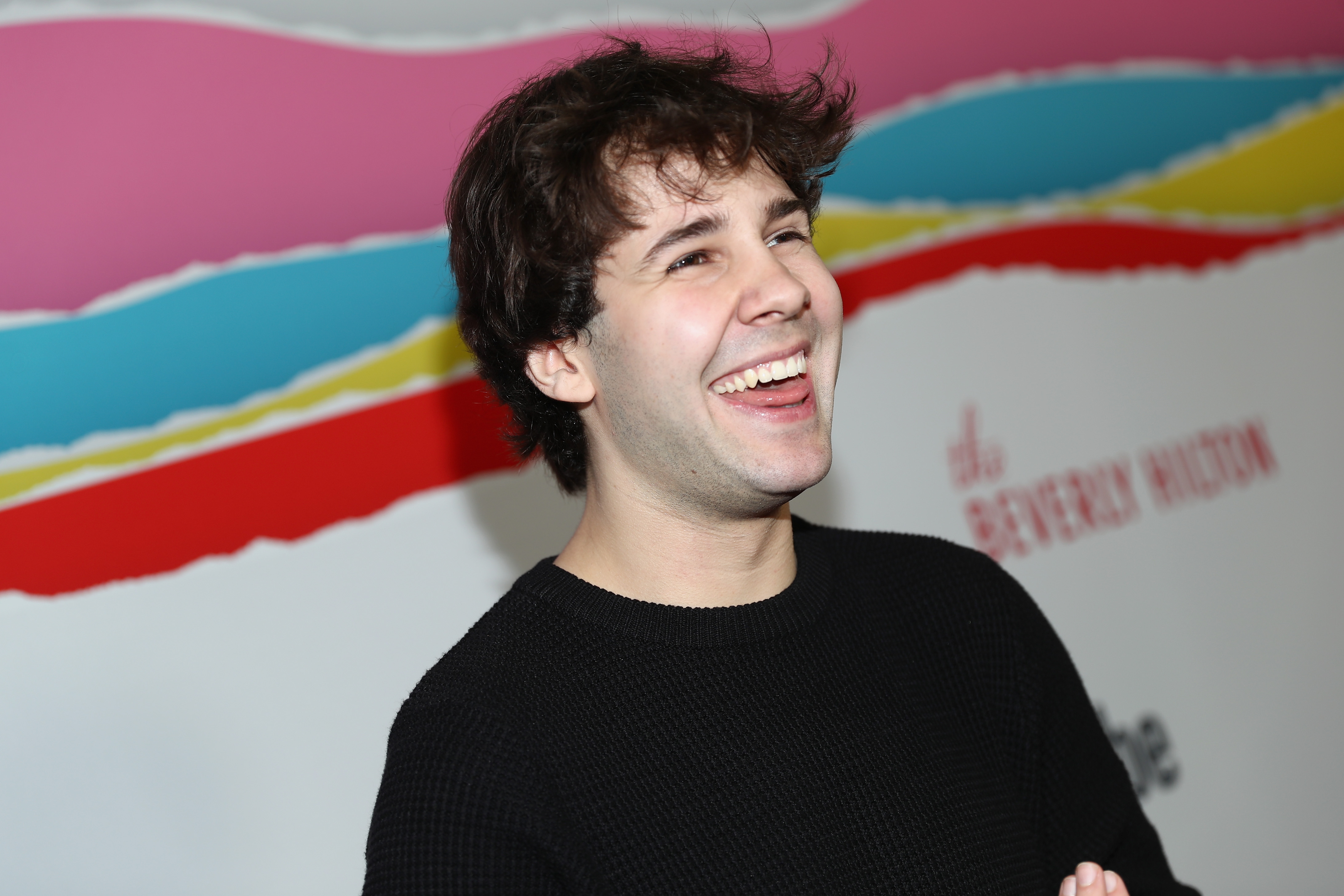 Image result for david dobrik