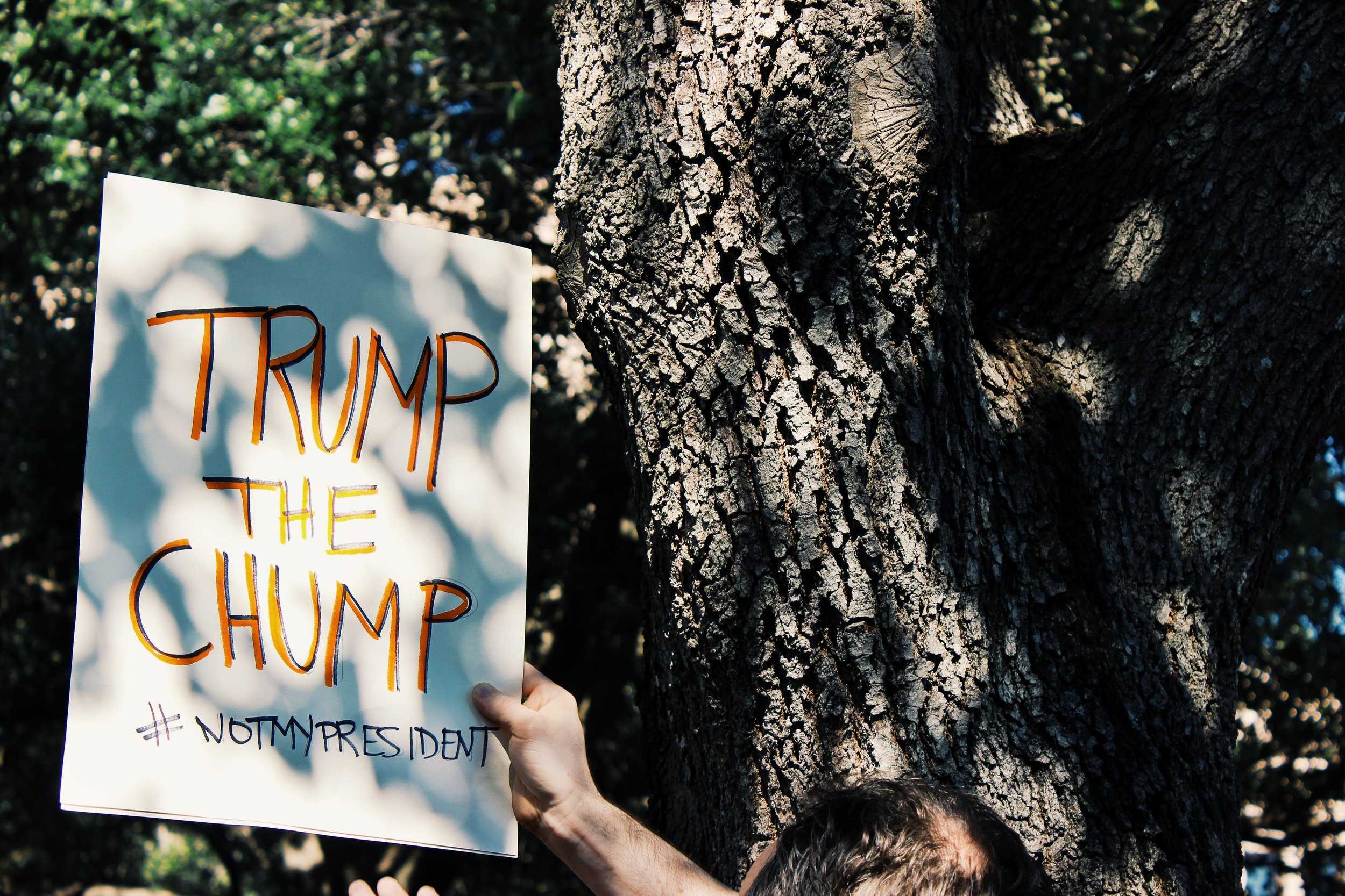   Signs regarding the recent election joined the signs about women empowerment. The sign pictured says, "Trump the chump #notmypresident."  