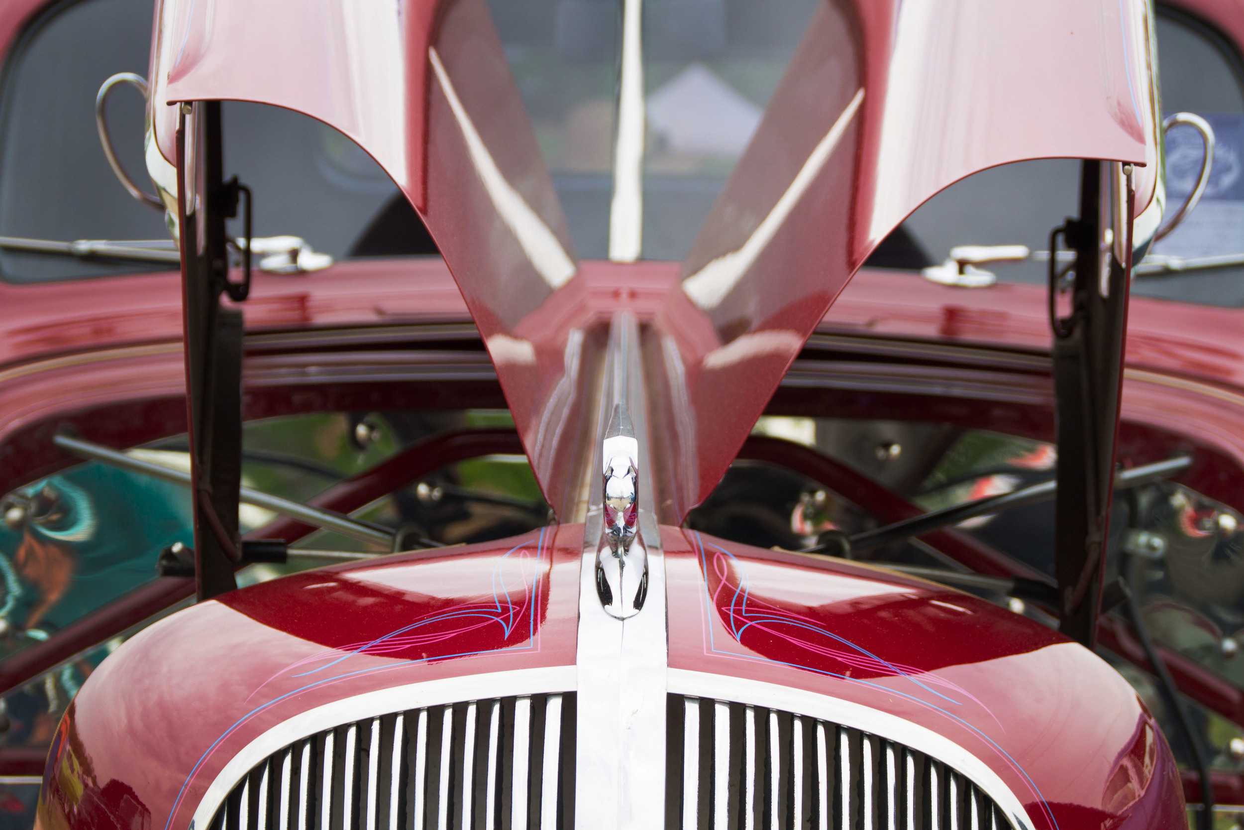  This show car’s hood is bend up on both sides to display the engine.    