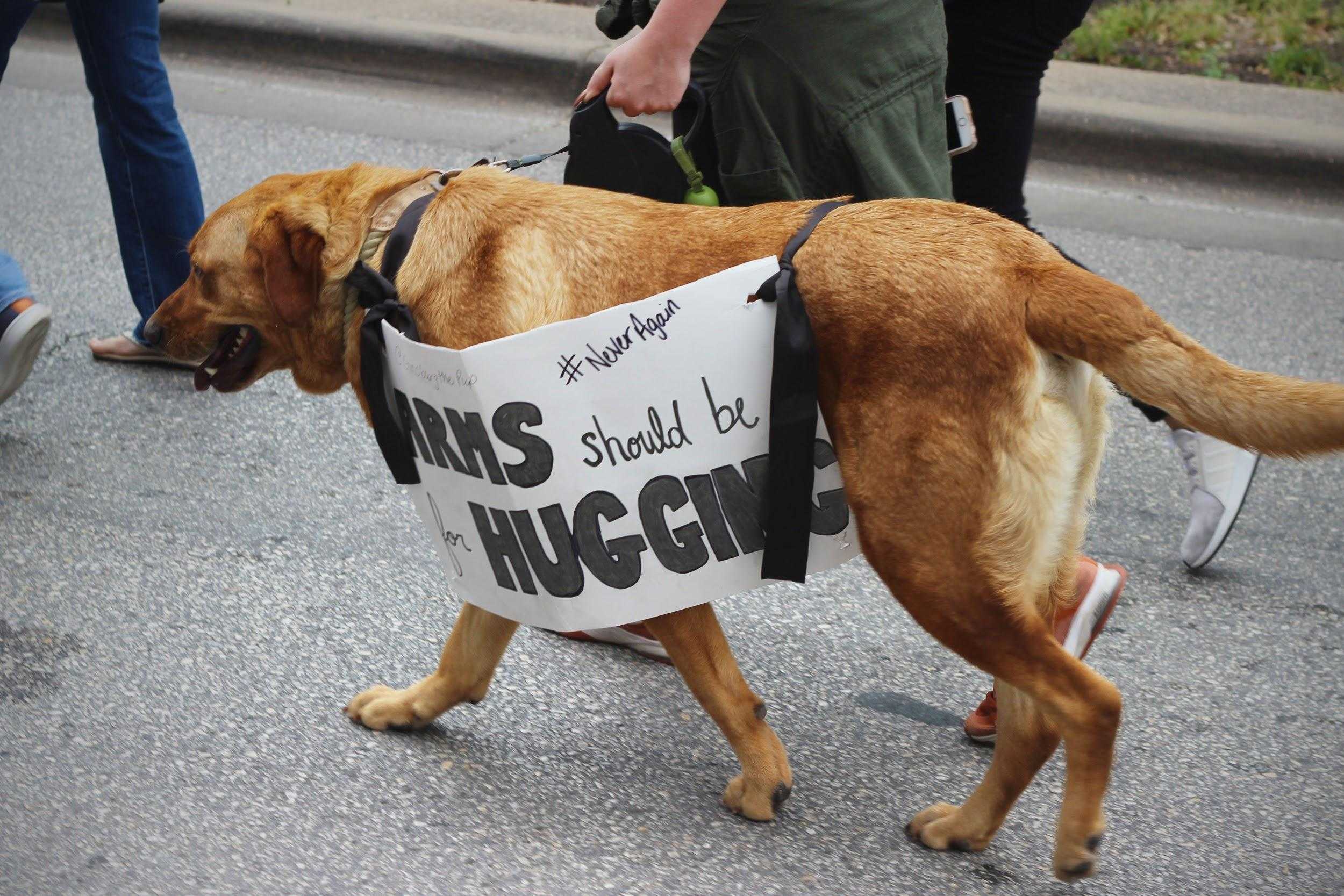   Furry friends join the streets, sporting their own protest gear.  