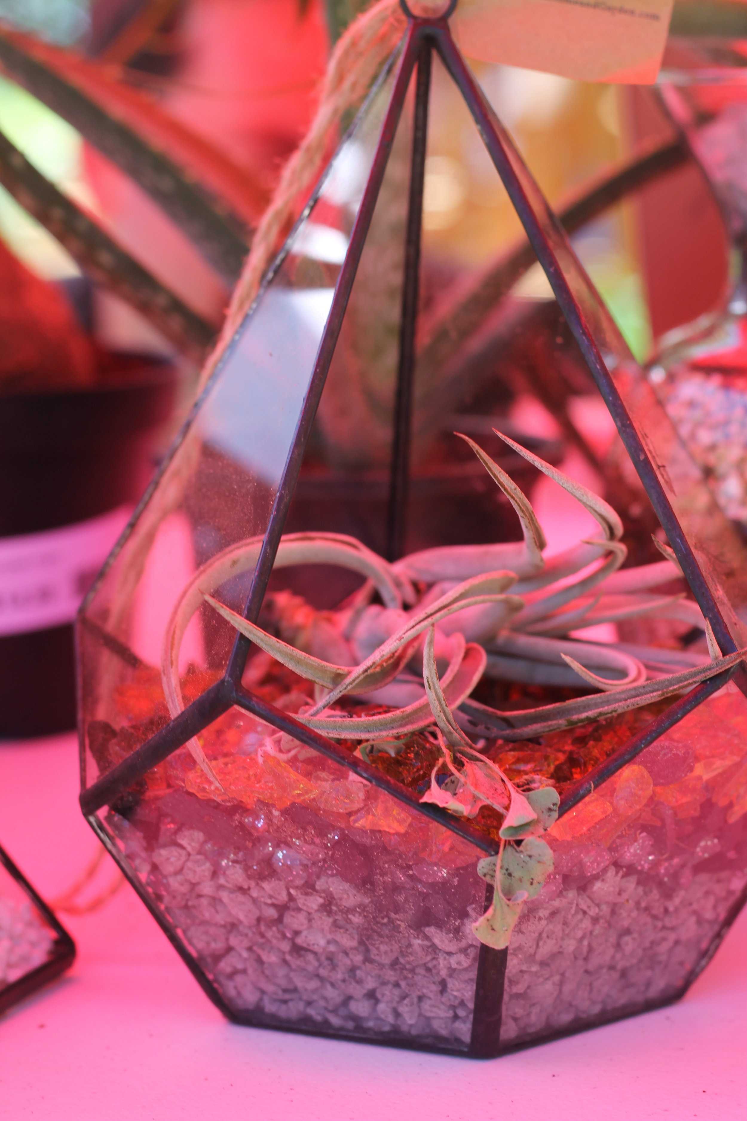   There were many uniquely designed potted plants at the Zilker Garden Festival.  