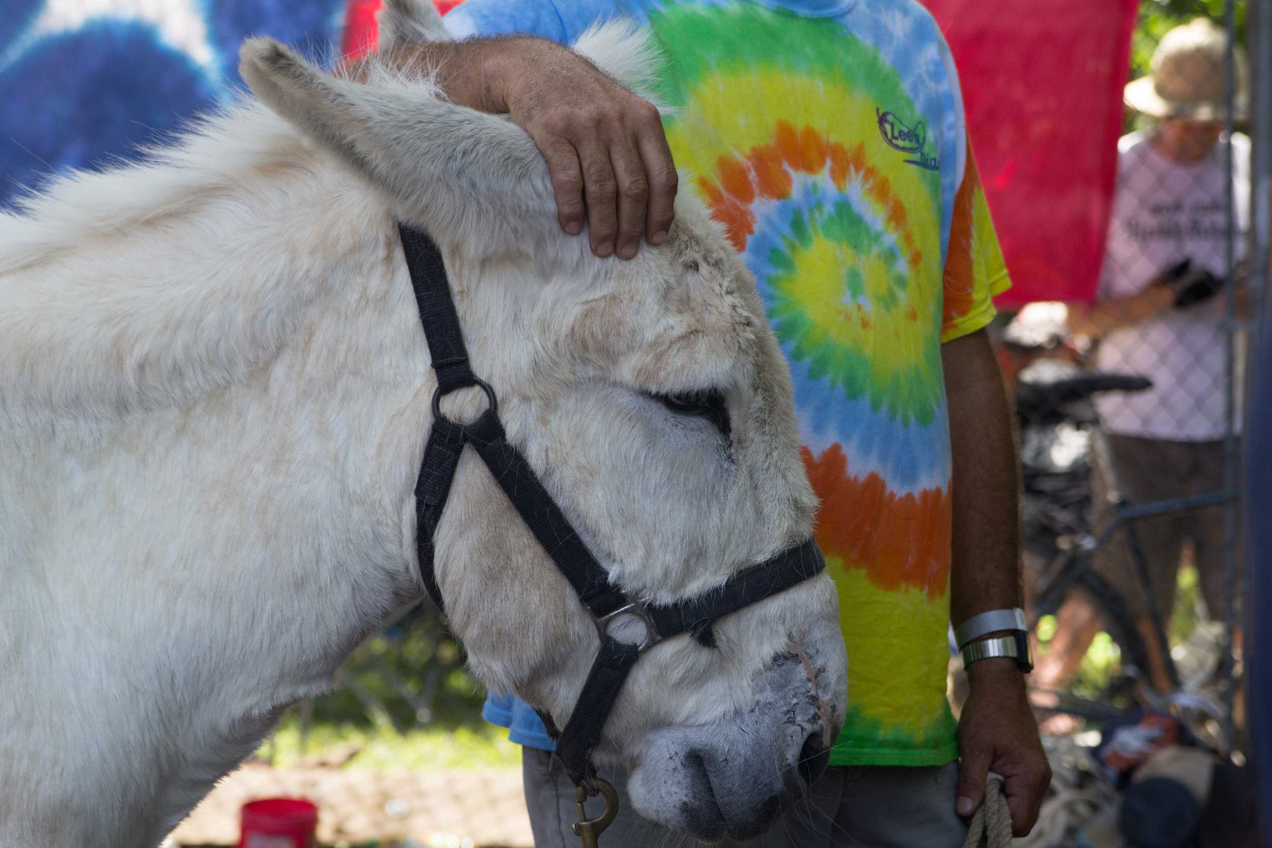   Eeyore poses for pictures with party attendees.           