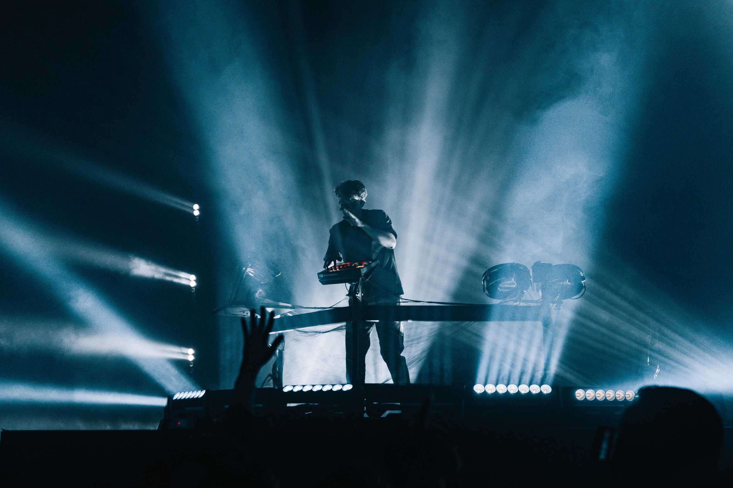 PetitBiscuit_5.jpg