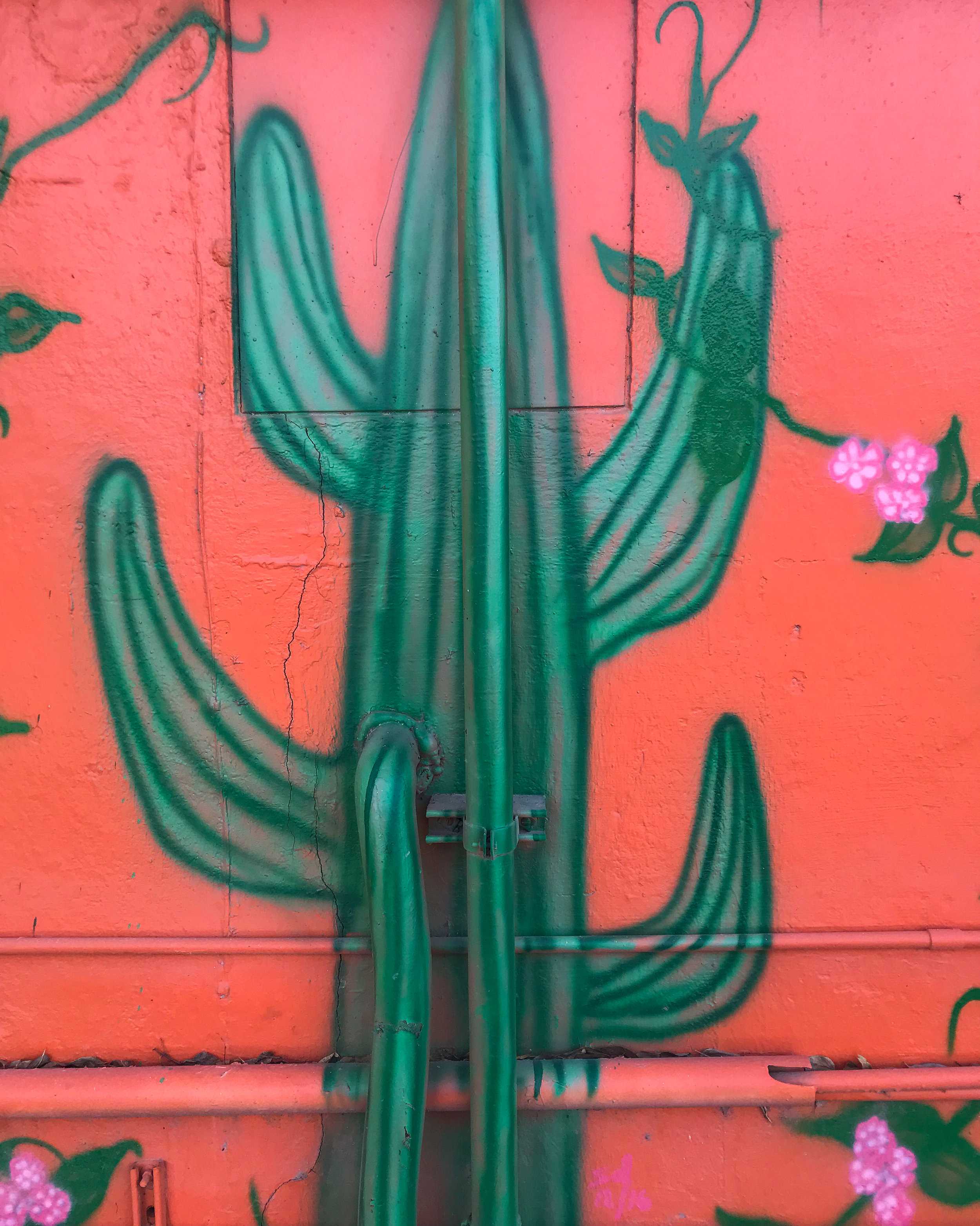   A cactus mural featured on the storefront of El Secreto de La Abuela  